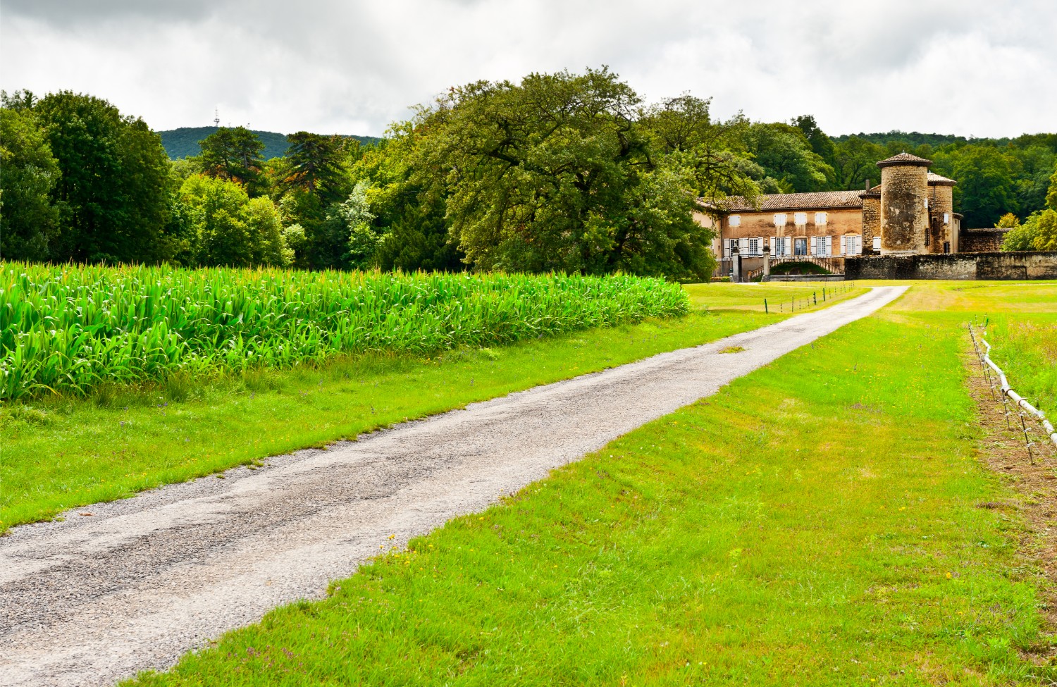 Comment optimiser le référencement naturel d’une agence immobilière agence de l'immobilier — Comment optimiser le référencement naturel d’une agence immobilière