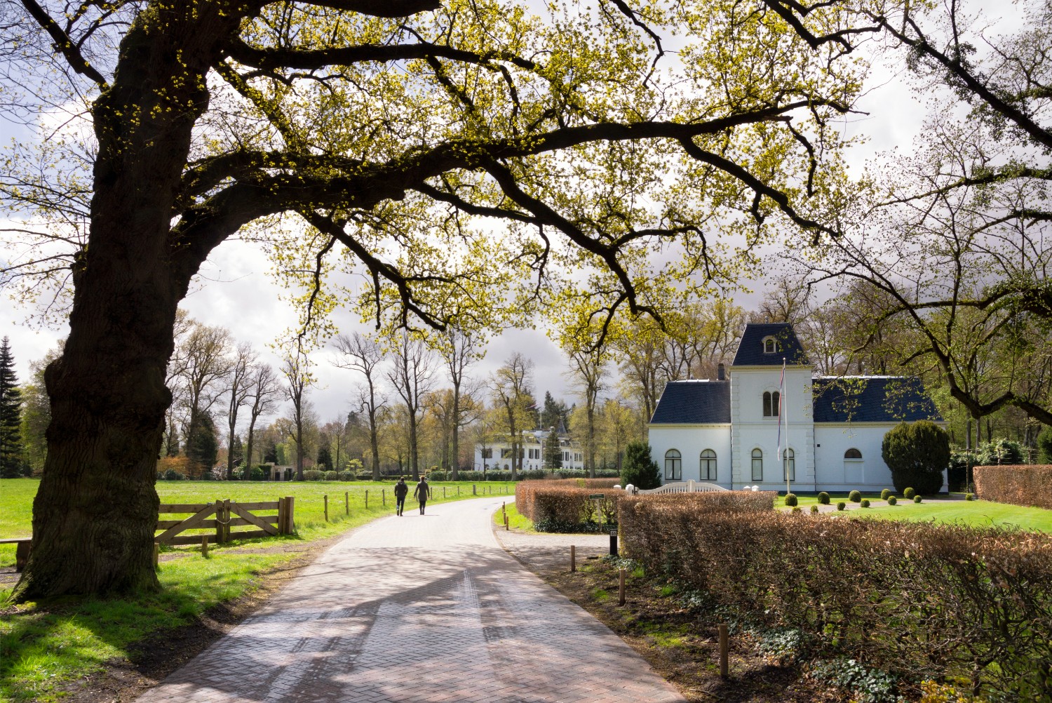 agence de l'immobilier — 10 plugins WordPress indispensables pour un site immobilier